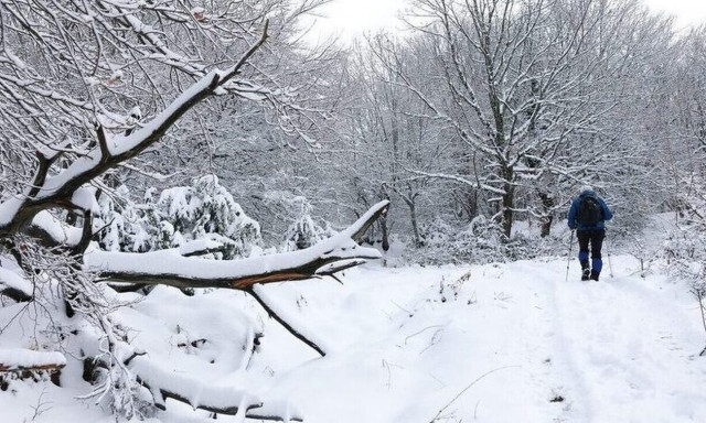 Χανιά: Σε ετοιμότητα ο Δήμος Πλατανιά για την αντιμετώπιση της κακοκαιρίας