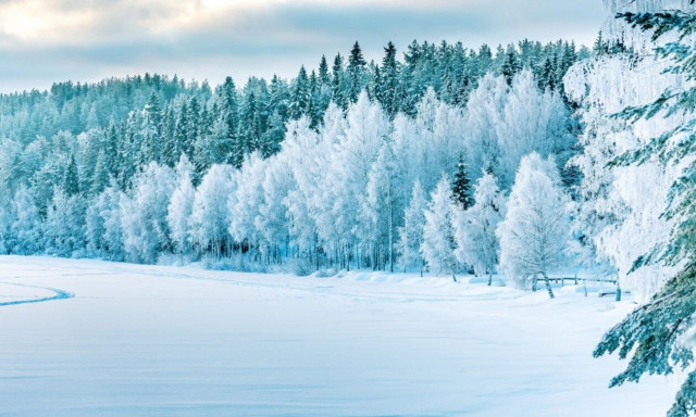 Τι λένε τα άστρα για τον Φεβρουάριο του 2024;