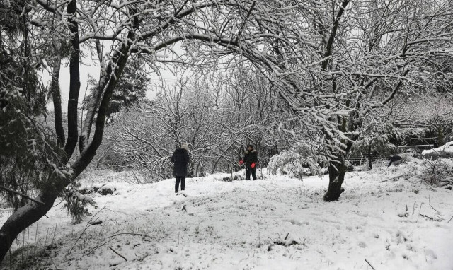Κακοκαιρία Avgi: Σε επιφυλακή ο δήμος Ηρακλείου για τα έντονα καιρικά φαινόμενα