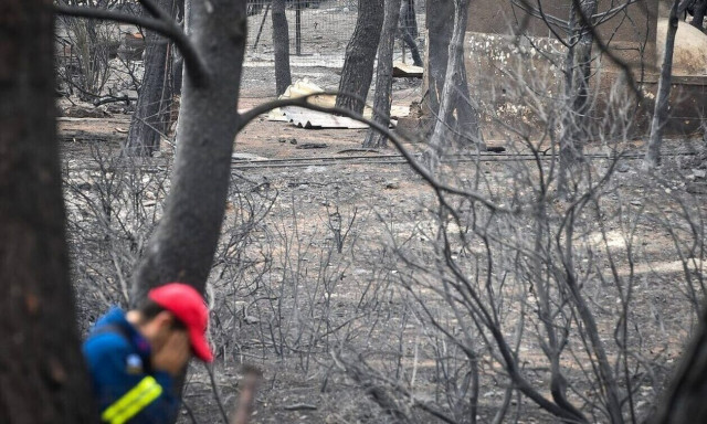 Μάτι - Ευάγγελος Μπουρνούς: «Υπήρχε εγκληματική καθυστέρηση για επέμβαση στη θάλασσα»
