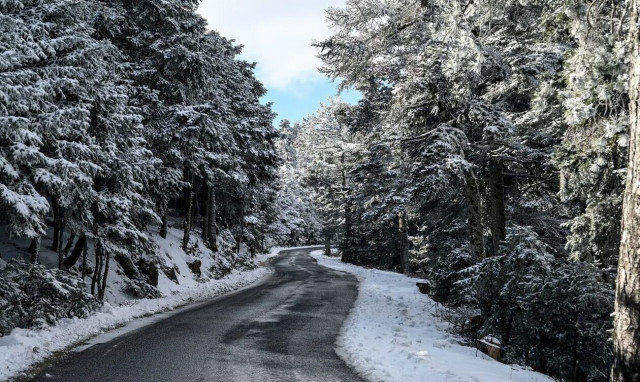 Ακόμα εγκλωβισμένοι στα χιόνια: Σε εξέλιξη δύο επιχειρήσεις σε Πάρνηθα και Φυλή