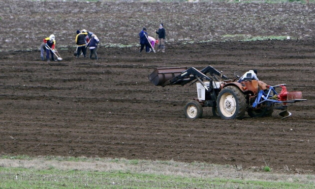 Κομισιόν: Εξαίρεση και φέτος από την υποχρεωτικότητα του μέτρου της αγρανάπαυσης – Τι προβλέπεται