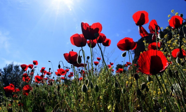 Ο καιρός σήμερα: «Μυρίζει» άνοιξη - Πού θα βρέξει μέσα στη μέρα