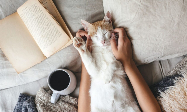 Σήμερα 11/02: Ηρεμία και γαλήνη