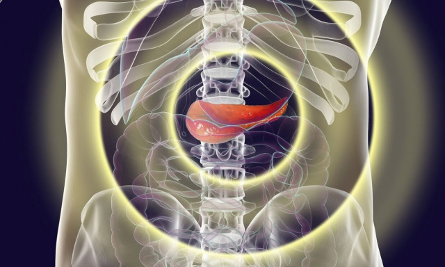 Καρκίνος στο πάγκρεας: Οι παράγοντες που οδηγούν στη μετάσταση