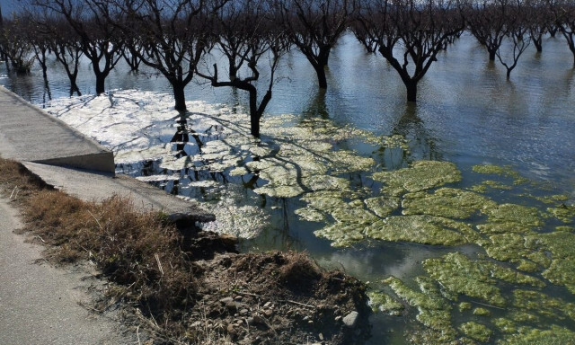 Λάρισα: Ανατριχιαστικό θέαμα - Τα «έχασαν» και οι κάτοικοι