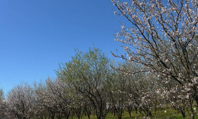Αλκυονίδες ημέρες: Ανατροπή τελικά με την ημερομηνία - Πόσο θα διαρκέσουν