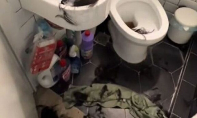 Πετράλωνα: Διαρρήκτες μπήκαν σε σπίτι, ξυρίστηκαν και έκαναν μπάνιο