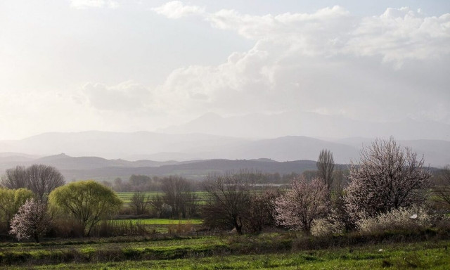 Αλκυονίδες ημέρες: Γιατί τις λέμε «αλκυονίδες» και το πουλί αλκυόνι
