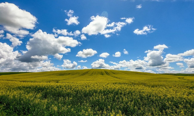 Επιμένει ο ανοιξιάτικος καιρός – Τους 21 βαθμούς θα πλησιάσει και πάλι η θερμοκρασία