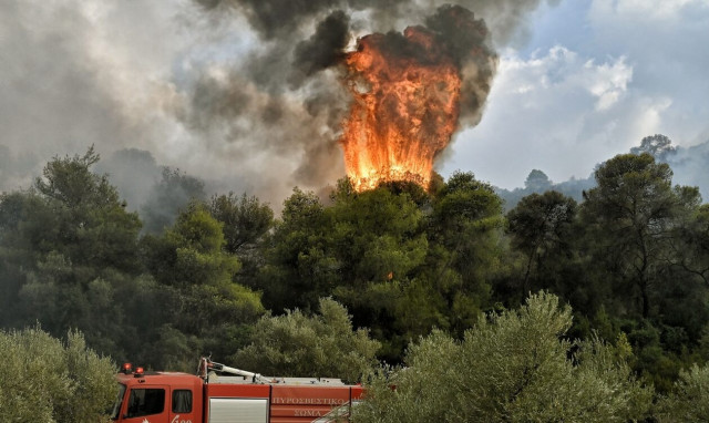 Φωτιά στην Κατερίνη σε δασική έκταση