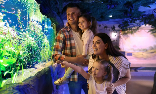 Τι να κάνετε το Σαββατοκύριακο με την οικογένειά σας