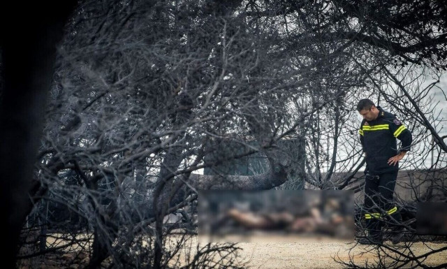 Η ώρα του εισαγγελέα στο Μάτι - Όλοι γνώριζαν εκτός από τον Τσίπρα