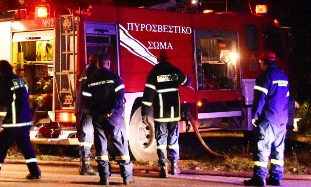 Λεχαινά: Φωτιά σε δασική έκταση στην περιοχή Αγία Μαρίνα