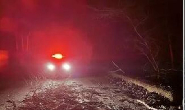 Εύβοια: Πτώση δέντρων στο Δερβένι – Ισχυροί άνεμοι στην περιοχή