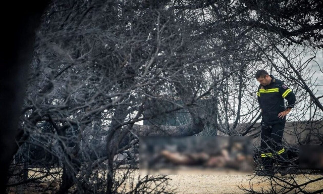 Εισαγγελέας για Μάτι: Ενοχή προτείνει για Ματθαιόπουλο, Φωστιέρη, Τερζούδη - Συνεχίζεται η αγόρευση