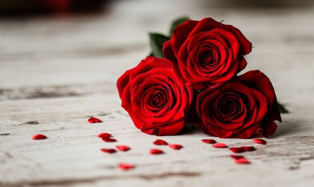 Βρετανία: To Brexit απειλεί το εμπόριο λουλουδιών για την Ημέρα του Αγίου Βαλεντίνου