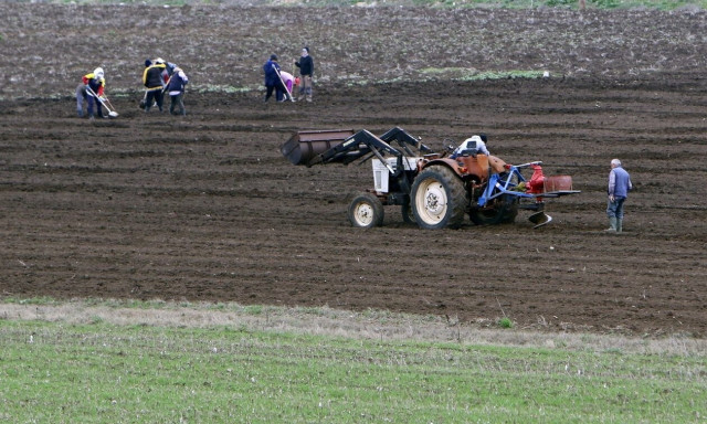 Αγρότες: Τα μέτρα για τη μείωση των τιμών του αγροτικού ρεύματος
