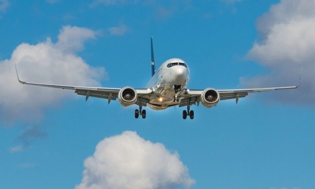 Τρόμος και αηδία στον αέρα: Έπεφταν πάνω τους σκουλήκια από τον χώρο χειραποσκευών!