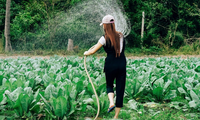 Σοφία Ζαχαράκη: Έρχεται νέο επίδομα που θα αφορά τις αγρότισσες μητέρες