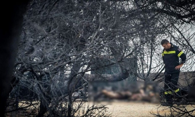 Εισαγγελέας - Μάτι: Απαλλαγή για Ψινάκη, «καταπέλτης» για Μπουρνούς - Συνολικά 9 καταδίκες