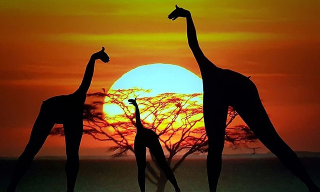 Moving Shadows: Ο Χορός στη Σκιά έρχεται στον «Ελληνικό Κόσμο»