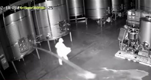 Ισπανία: Άγνωστος άνοιξε τις κάνουλες οινοποιείου και προκάλεσε ζημιά 2 εκατ. ευρώ