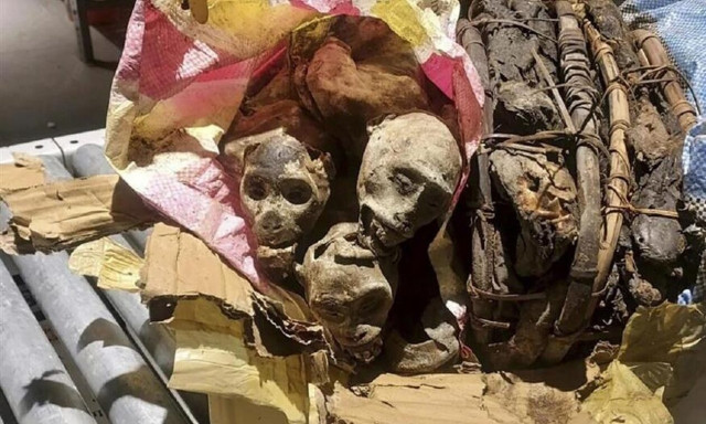 Βοστόνη: Ταξιδιώτης βρέθηκε με βαλίτσες γεμάτες… μουμιοποιημένες μαϊμούδες