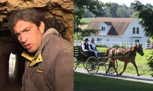 Παλαιοχριστιανοί, Άμις και Μενονίτες: Τα κοινά σημεία και οι διαφορές