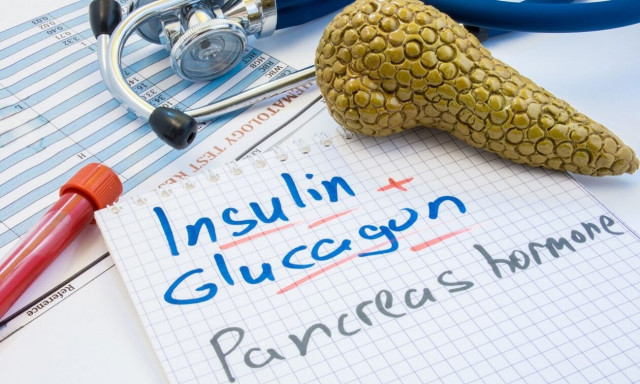 Γλυκαγόνη: Τι είναι και ποιος ο ρόλος της στην υγεία των νεφρών