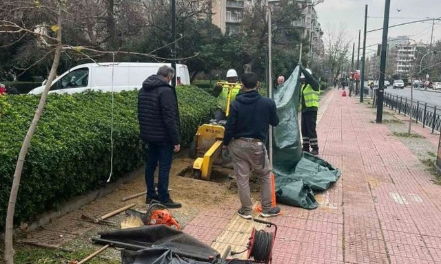 «Ανάπλαση Αθήνας ΑΕ»:  Ξεκινάει η φύτευση 2.975 δένδρων