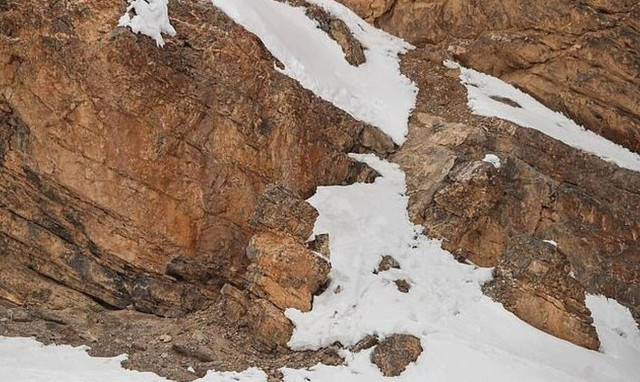 Απίστευτη οφθαλμοπάτη: Εσύ μπορείς να βρεις πού κρύβεται η λεοπάρδαλη