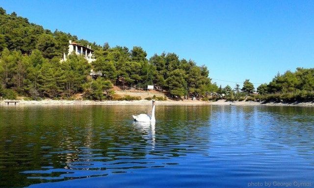 25η Μαρτίου: Πέντε υπέροχοι προορισμοί μόλις λίγα λεπτά μακριά από το κέντρο της Αθήνας