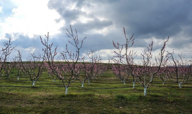 Κακοκαιρία: Ισχυρές βροχές και καταιγίδες τις επόμενες ώρες - Πού θα είναι έντονα τα φαινόμενα