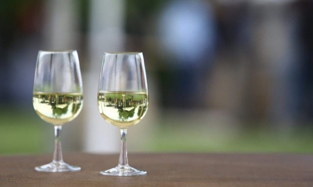 Πτώση 35% στην παραγωγή οίνου - Ο χαμηλότερος όγκος όλων των εποχών