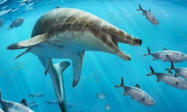 Η γιγαντιαία σαύρα που κυβερνούσε τους ωκεανούς πριν απο 66 εκατ. χρόνια - Είχε «πρόσωπο δαίμονα»