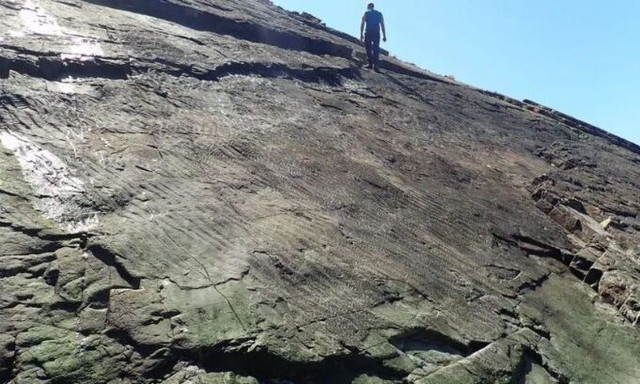 To αρχαιότερο δάσος στον κόσμο