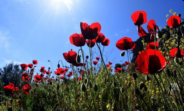 Καιρός: Ανατροπή το Σαββατοκύριακο - Η πρόβλεψη Μαρουσάκη για το Σαββατοκύριακο