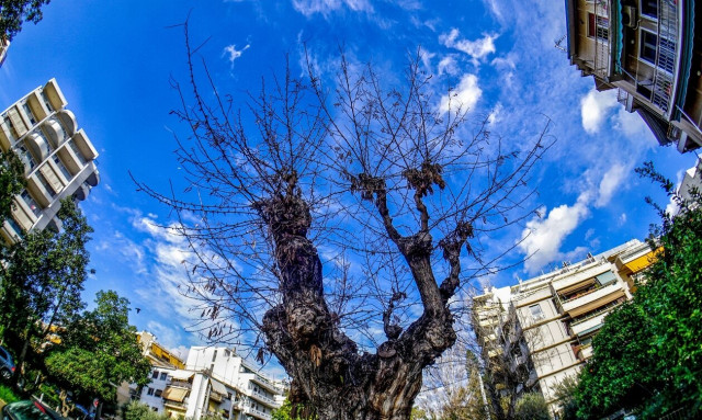 Καιρός - Κολυδάς: Ανοιξιάτικο σαββατοκύριακο - Χαλάει από Τρίτη, αφρικανική σκόνη από Δευτέρα