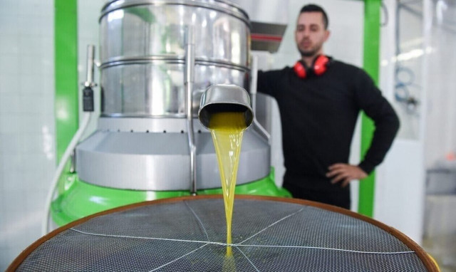 Ελαιόλαδο: Συνεχίζεται το ράλι τιμών στο ράφι - Γιατί δεν πούλησαν οι παραγωγοί της Λακωνίας