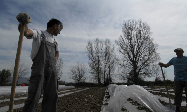 Μέτρα για το ρεύμα: Πώς ευνοούνται αγρότες και ενεργοβόρος βιομηχανία