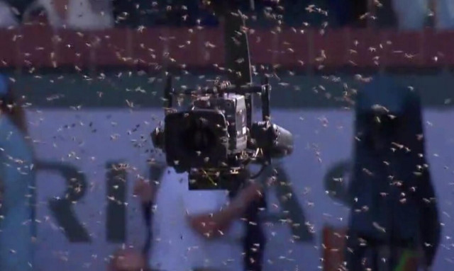 Τένις: Επίθεση από μέλισσες δέχτηκε ο Αλκαράθ την ώρα του αγώνα με τον Ζβέρεφ!