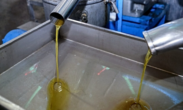 Ελαιόλαδο: Οι πρώτες εκτιμήσεις για την επόμενη χρονιά - Φέτος το αγοράζουμε και... φτηνά!