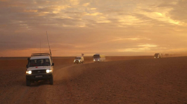 Έκρηξη νάρκης στη Συρία: 19 άνθρωποι που πήγαιναν να μαζέψουν τρούφες νεκροί