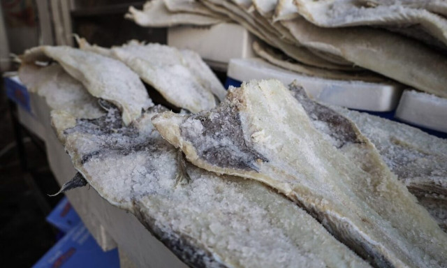 25η Μαρτίου: Μπακαλιάρος όπως... χαβιάρι! Σπάει ιστορικό ρεκόρ φέτος