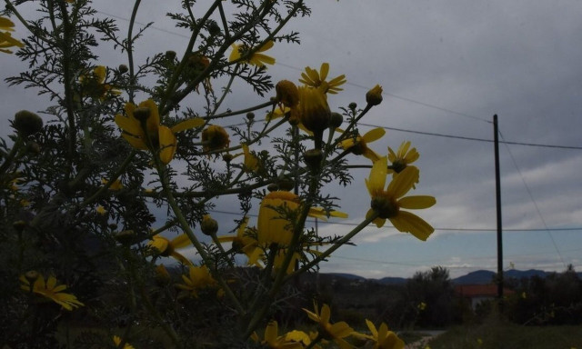 Weather forecast: Mostly fair on Saturday