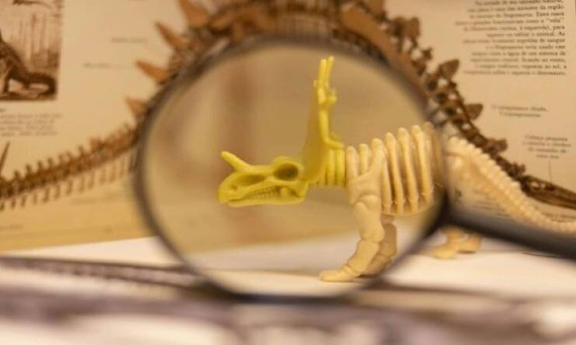 Ερευνητές ανακάλυψαν απολιθωμένο κρανίο που ανήκει σε αμφίβιο: Ο λόγος που το συγκρίνουν με βάτραχο