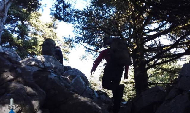 Πάρνηθα: Αγωγή σε πασίγνωστο Youtuber για κοπή δεντρών - Πώς πρόδωσε τον εαυτό του