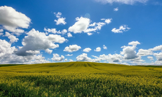 Weather forecast: Mostly fair on Saturday