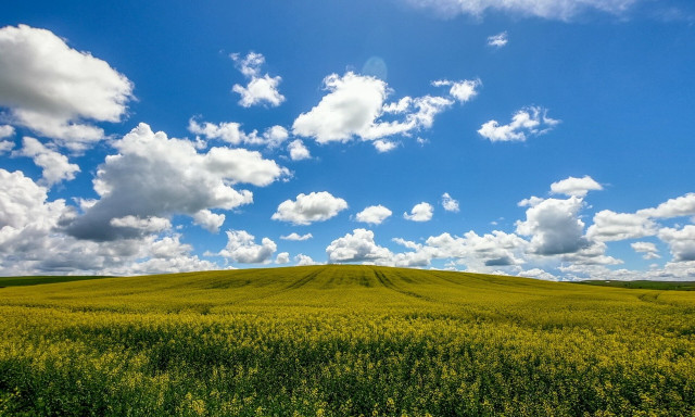 Καιρός: Καθαρίζει η ατμόσφαιρα αλλά παραμένουν οι υψηλές θερμοκρασίες – Νέο κύμα σκόνης από Κυριακή